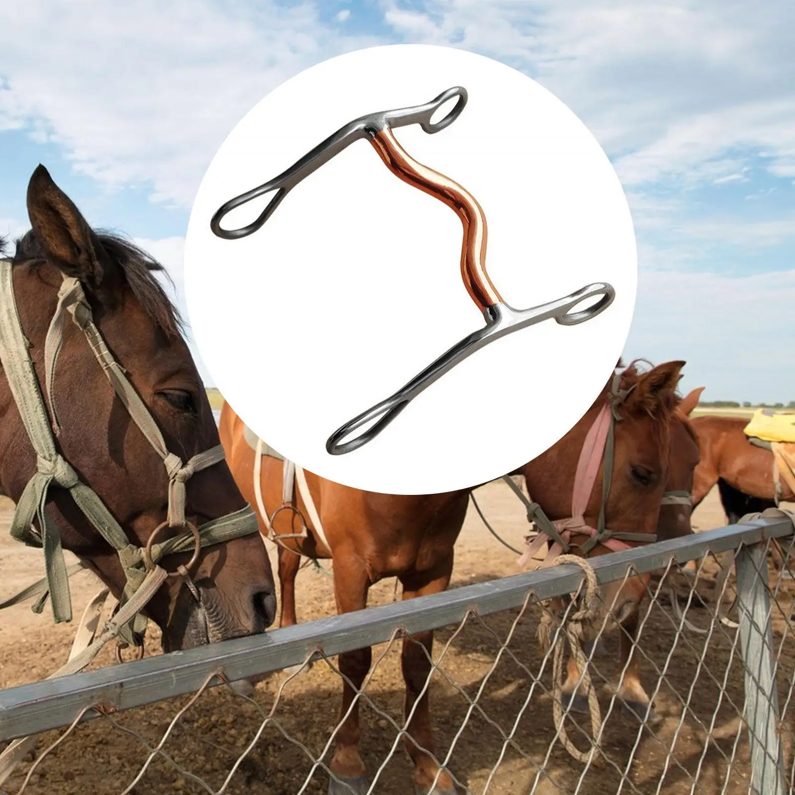 لقمة فم الفروسية على شكل حصان مع لقمة حصان دوارة نحاسية #4