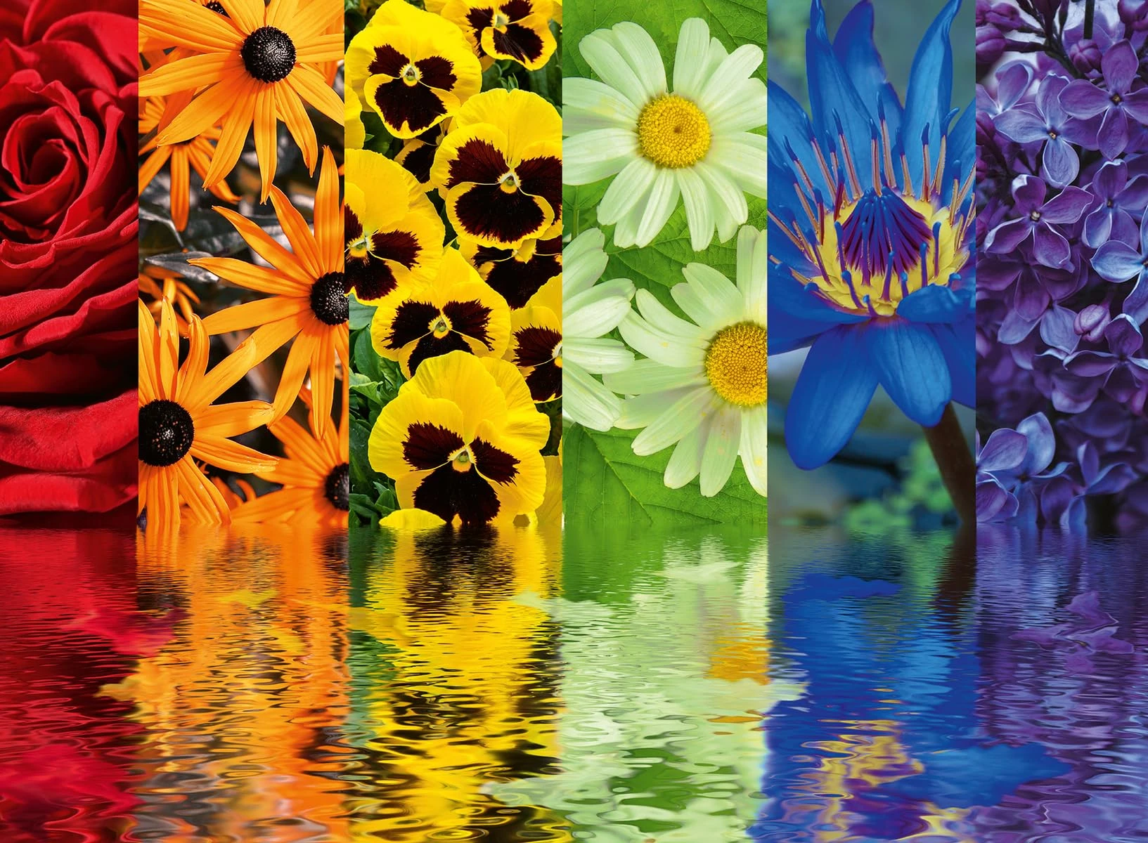 quebra-cabecas-de-500-1000-1200-2000-pecas-reflexoes-florais-e-cenarios-–-jogos-de-atividade-familiar-para-sala-de-jogos-quarto-decoracao-de-casa-e-presente