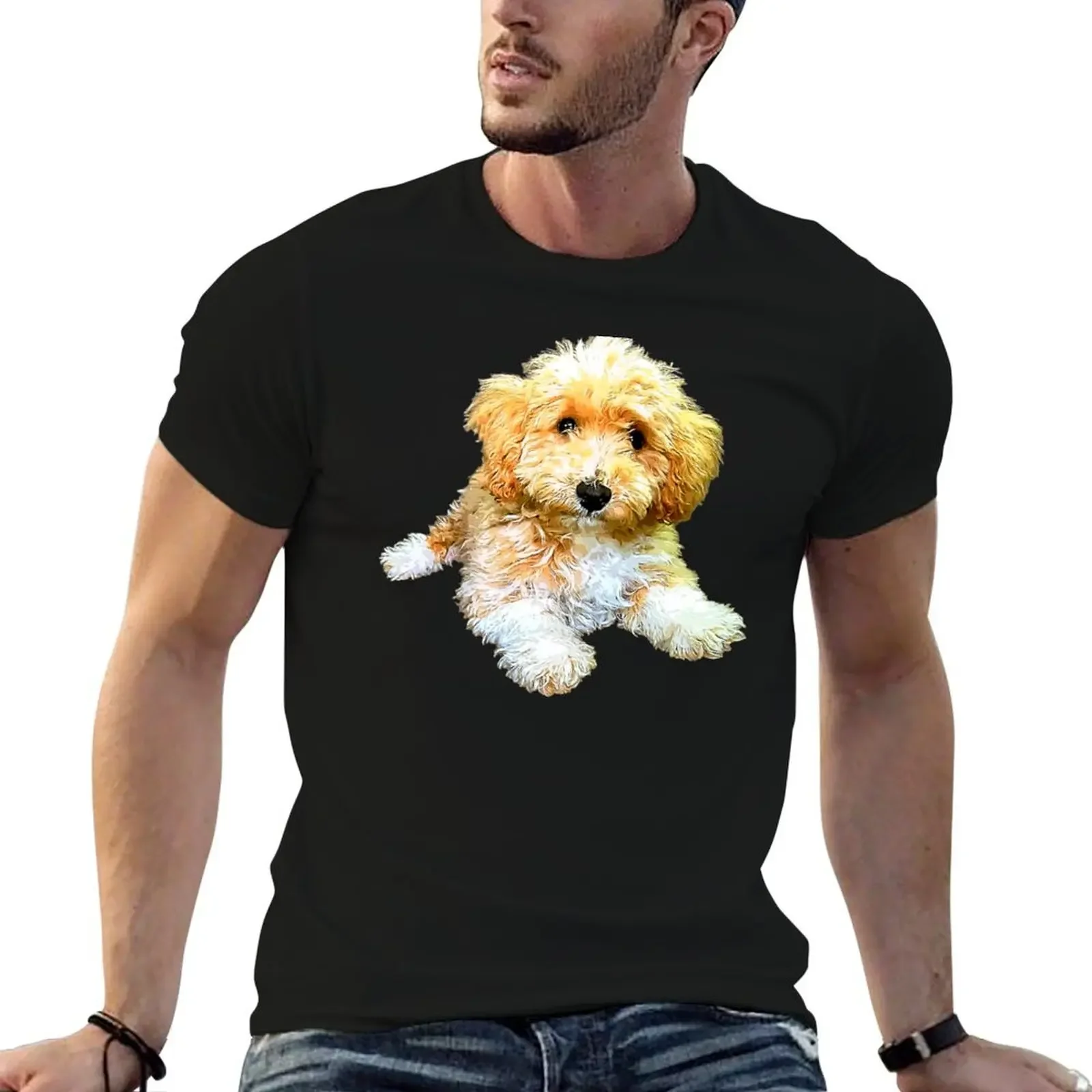 Golden doodle labradoodle cavoodle cavapoo poodle mix T-Shirt anime customs heavyweight t shirts for men