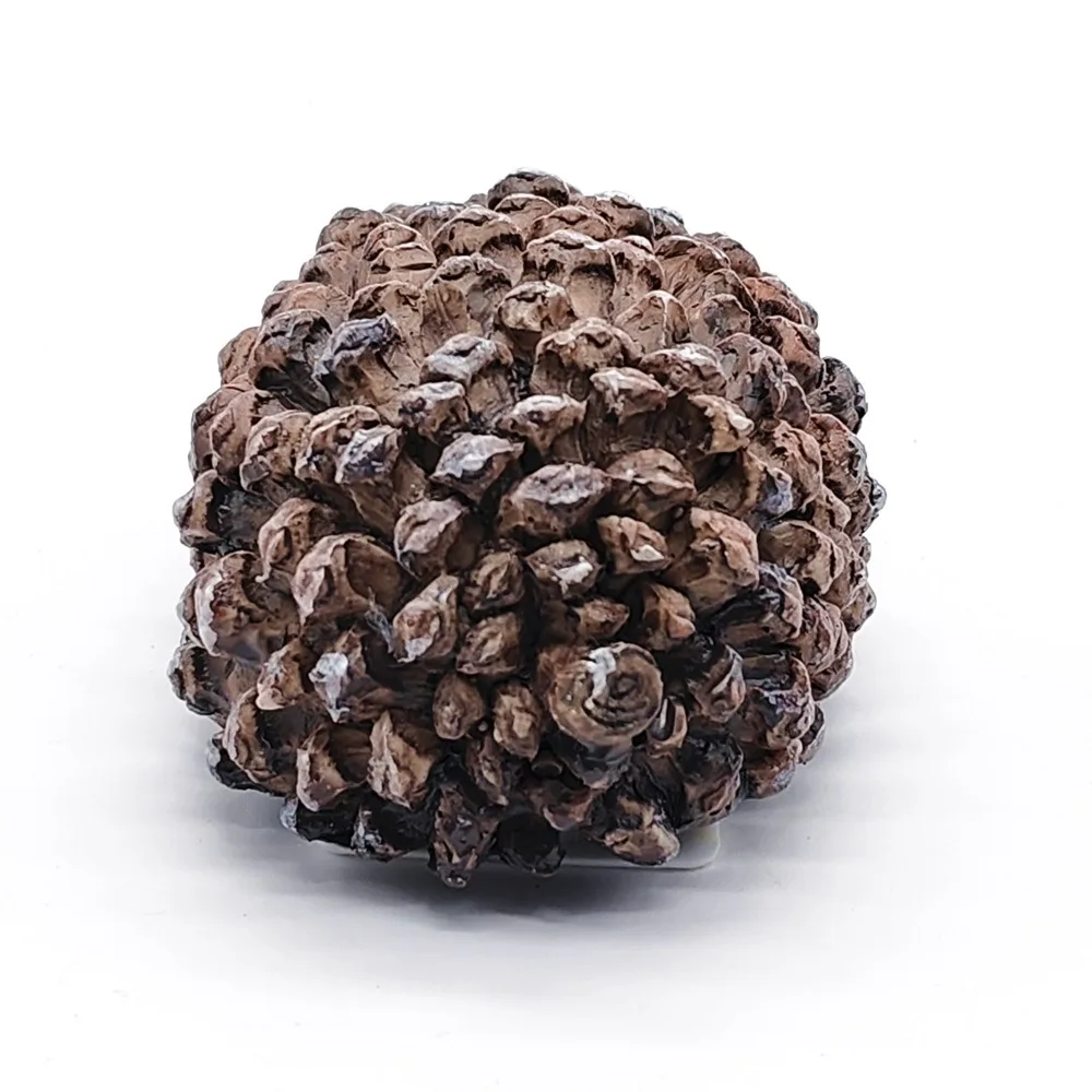 Creative Resin 1:1 Pinecone Key Box - Anti-Lost Hidden Money Secure Storage Organizer Discreet Safe Container