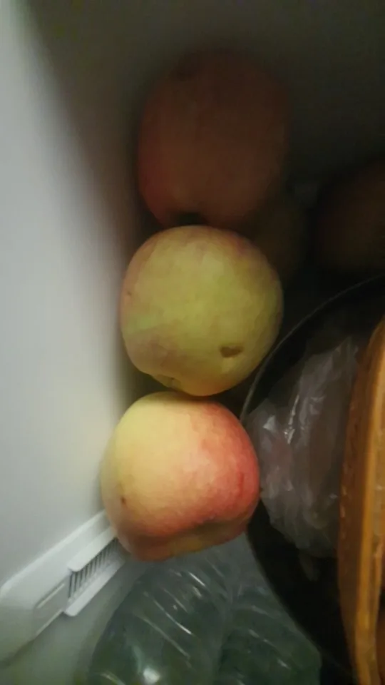 실물 포토 리뷰