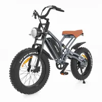 JANSNO Electric Bike 20\