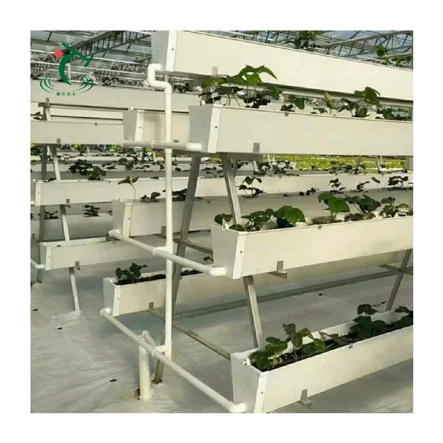 تخصيص الدفيئة أنبوب مجلفن بولي كربونات متعدد المدى فينلو الدفيئة للزراعة/تربية/المعرض/التجربة/Ecol #1