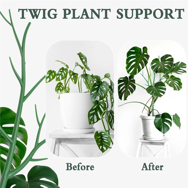 

Monstera Plant Support Plant Support Tall Plastic Plant Sticks For Tomato Tree,Branches Support