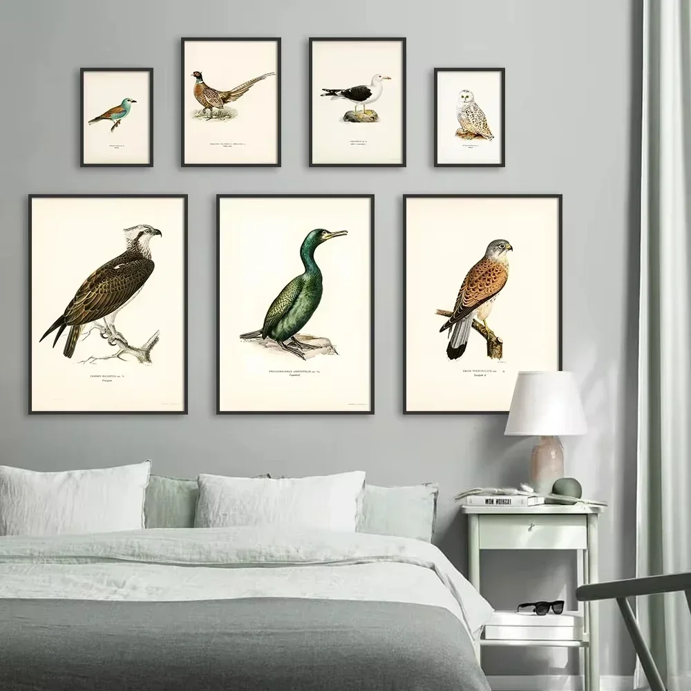 (No frame)Retro Birds Poster and Print Vertebrate Canvas Painting Cormorant Bird Wall Picture Realism Art Mural Home Decor fo