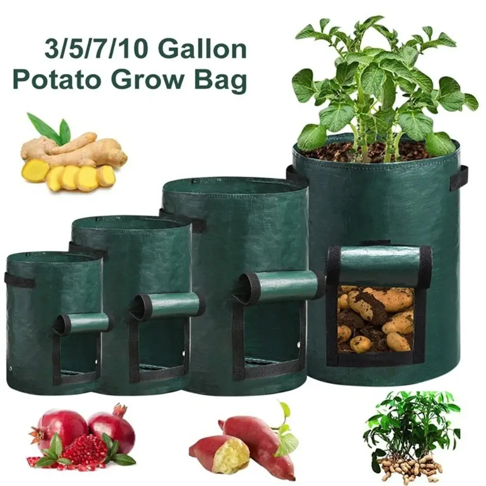 

PE Garden Planting Bag Durable 3/5/7/10 Gallon Garden Tools Planting Container With Handles Flower Plant Pot Outdoor