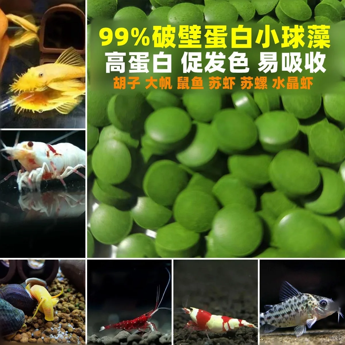 

Spirulina Tablets Enrichment Favorite Pet Food fish crystal red shrimp pet food 100/500pcs