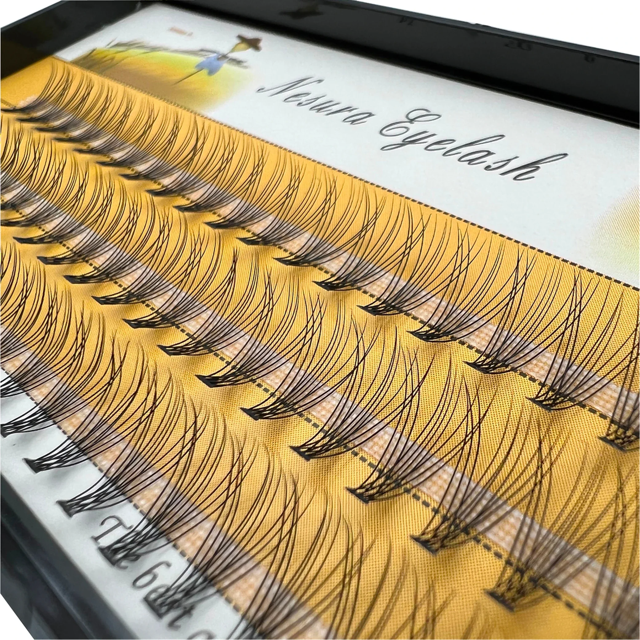 60 Bundles/Box Individual Lashes, 10D 0.1/0.07mm Eyelash Extension ,Natural Style Individual Eyelashes Handmade Eyelash Bundles