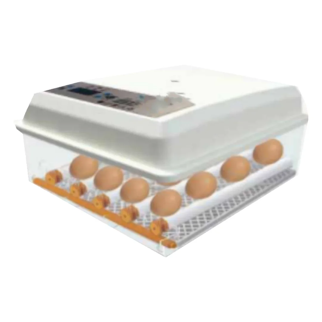 176 eggs incubator machine automatic