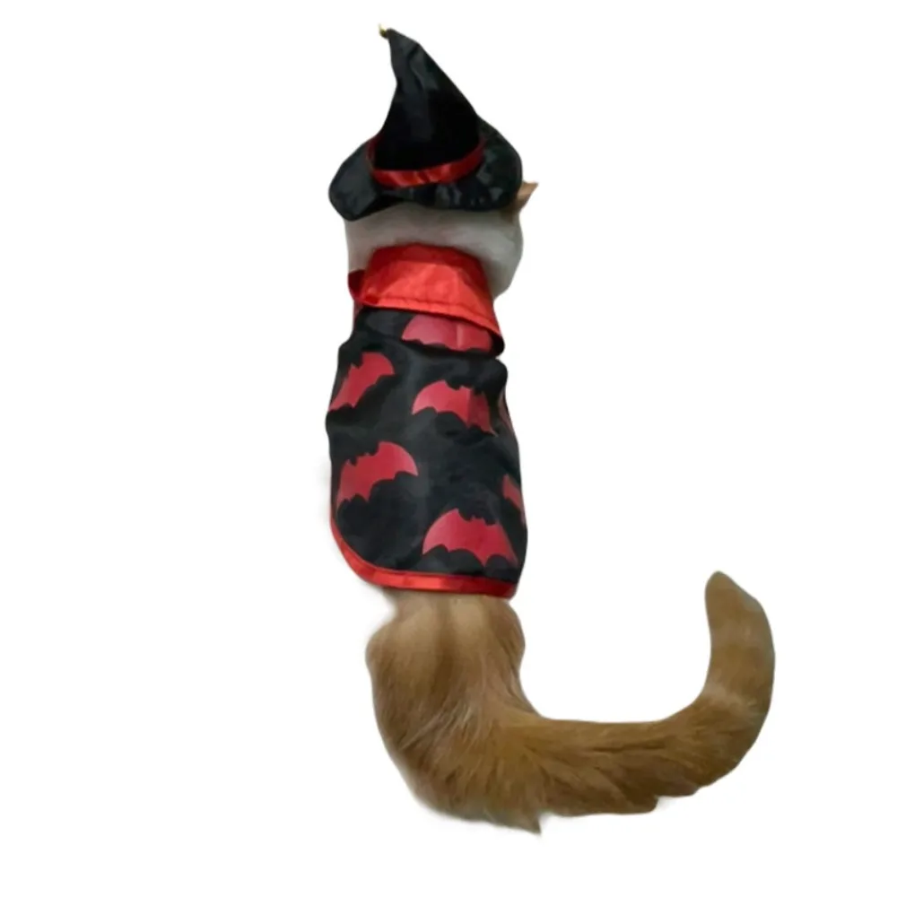 Niedlicher Kürbis-Muster, Halloween-Katzenumhang, verstellbar, atmungsaktiv, Halloween-Hundekostüm, weiche Fledermaus, Haustier, Cosplay-Kostüm-Set, Heimdekoration