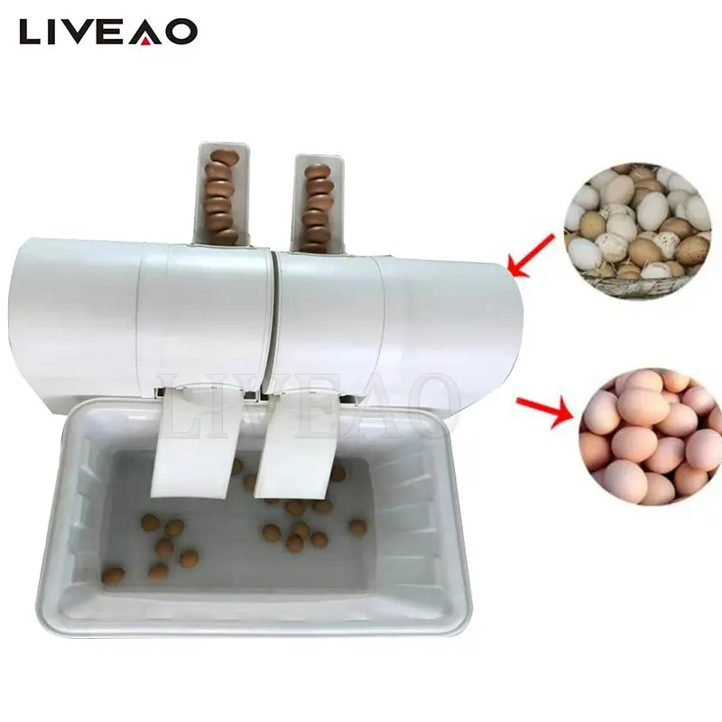 Single Row Automatic Egg Cleaning Machine Commercial Chicken Duck Goose Egg Brushing Machine