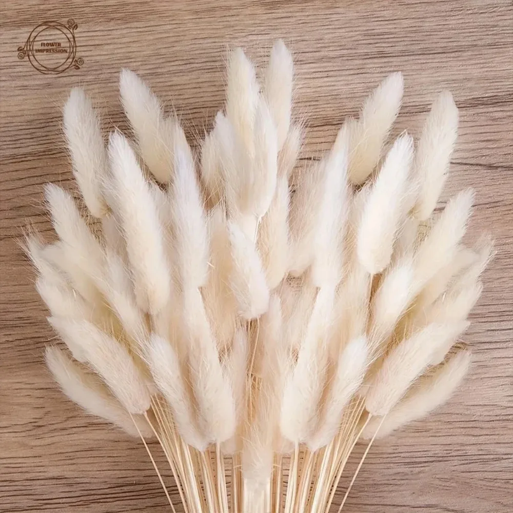 60pcs Dried Flowers Rabbit Bunny Tails Grass Mix Bouquets Wedding Party Decoration Natural Fluffy Lagurus Ovatus Boho Home Decor