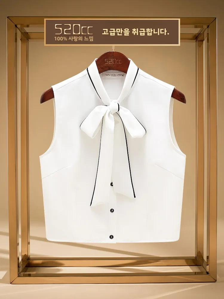 autumn-winter-women's-faionable-bowtie-collarl-irt-base-layer-color-blo-decorative-fake-collar-sli-accory