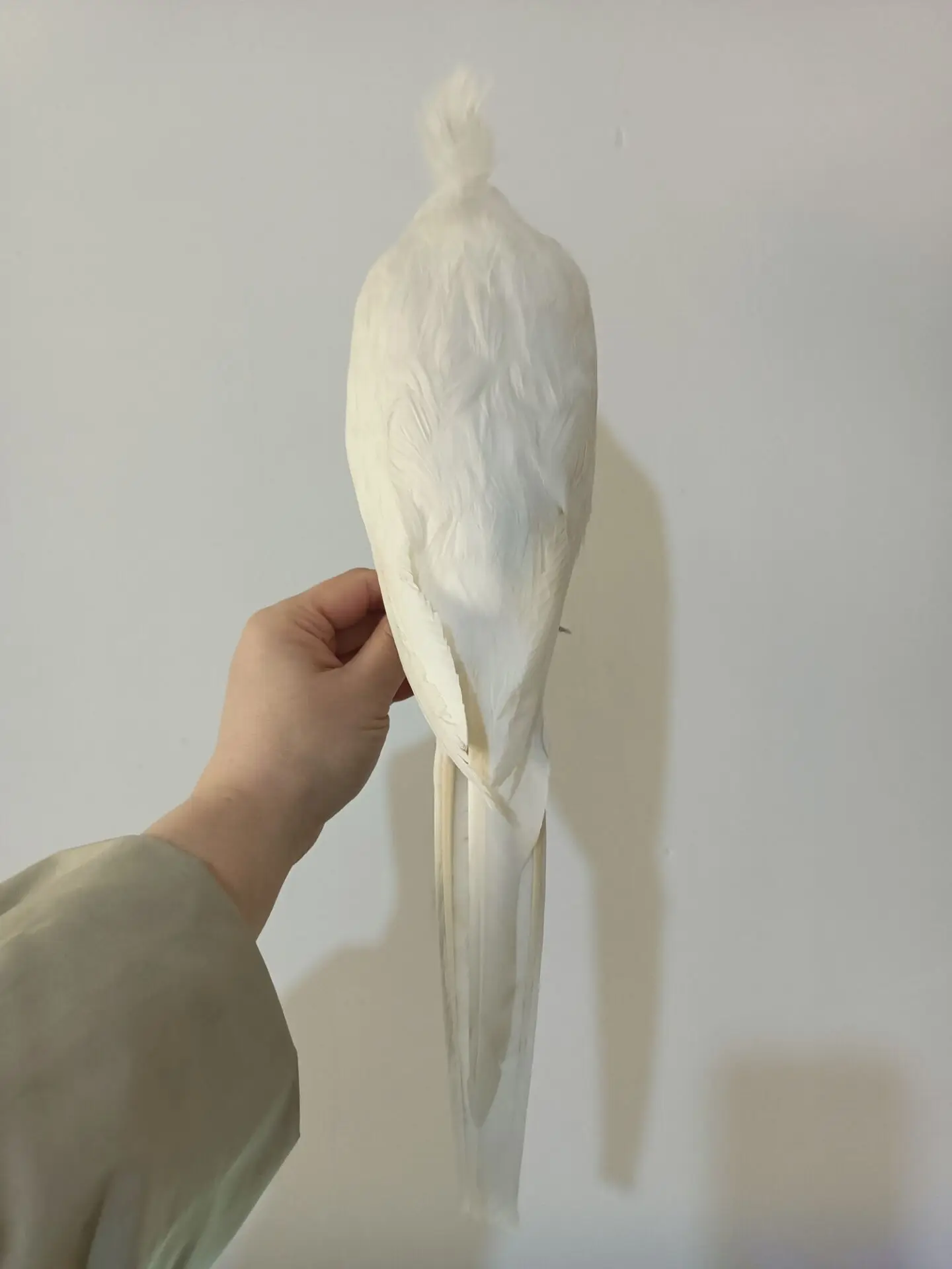 cute simulation foam&feather white cockatoo parrot model toy gift birthday doll about 42cm w2413