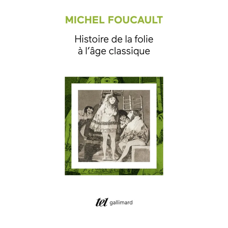 

History Of Madness In The Classical Age Michel Foucault Gallimard 9782070295821 Book