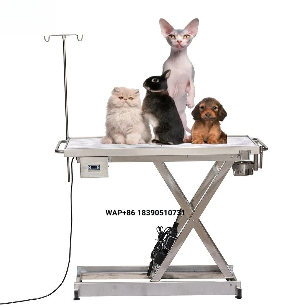 Veterinary Equipment Animal Pet Operating Table 304 Stainless Steel Electric Plate Lifting Pet Operating Table