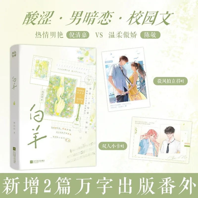 Youth Fiction Book Aries Gentle Proud Boy & Bright Energetic Girl Long Hidden Crush Love Story