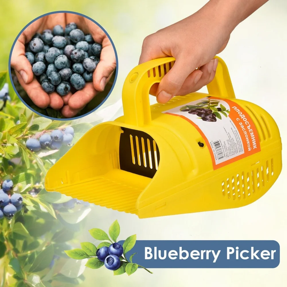 Multifuncional portátil Blueberry Picker com Rake em forma de pente, jardinagem ferramenta manual para a colheita