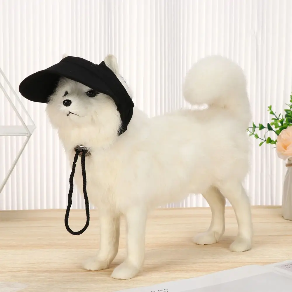 Summer Cat Dog Outd…