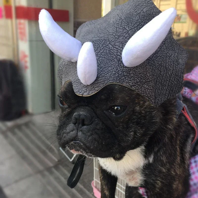 

Triceratops Dinosaur Costume Hats For Cats Hat For Dog Dinosaur Triceratops Bulldog Hat Cap Dog Cap Pet Headgear Costume Dog Hat