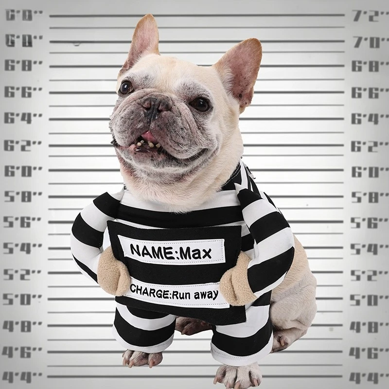 

Funny Prisoner Dog Costume Halloween Pet Outfit Striped Jumpsuit For Dogs Party Dress Up Cute Animal Costume With ID Tag