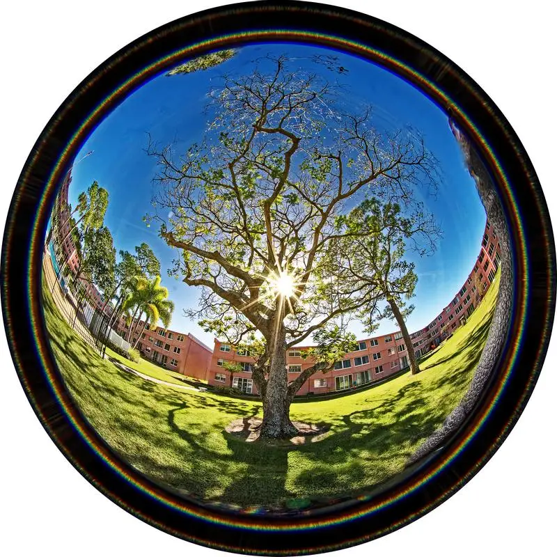 Venus Optics Laowa 4mm F2.8 210° Circular Fisheye Manual Focus