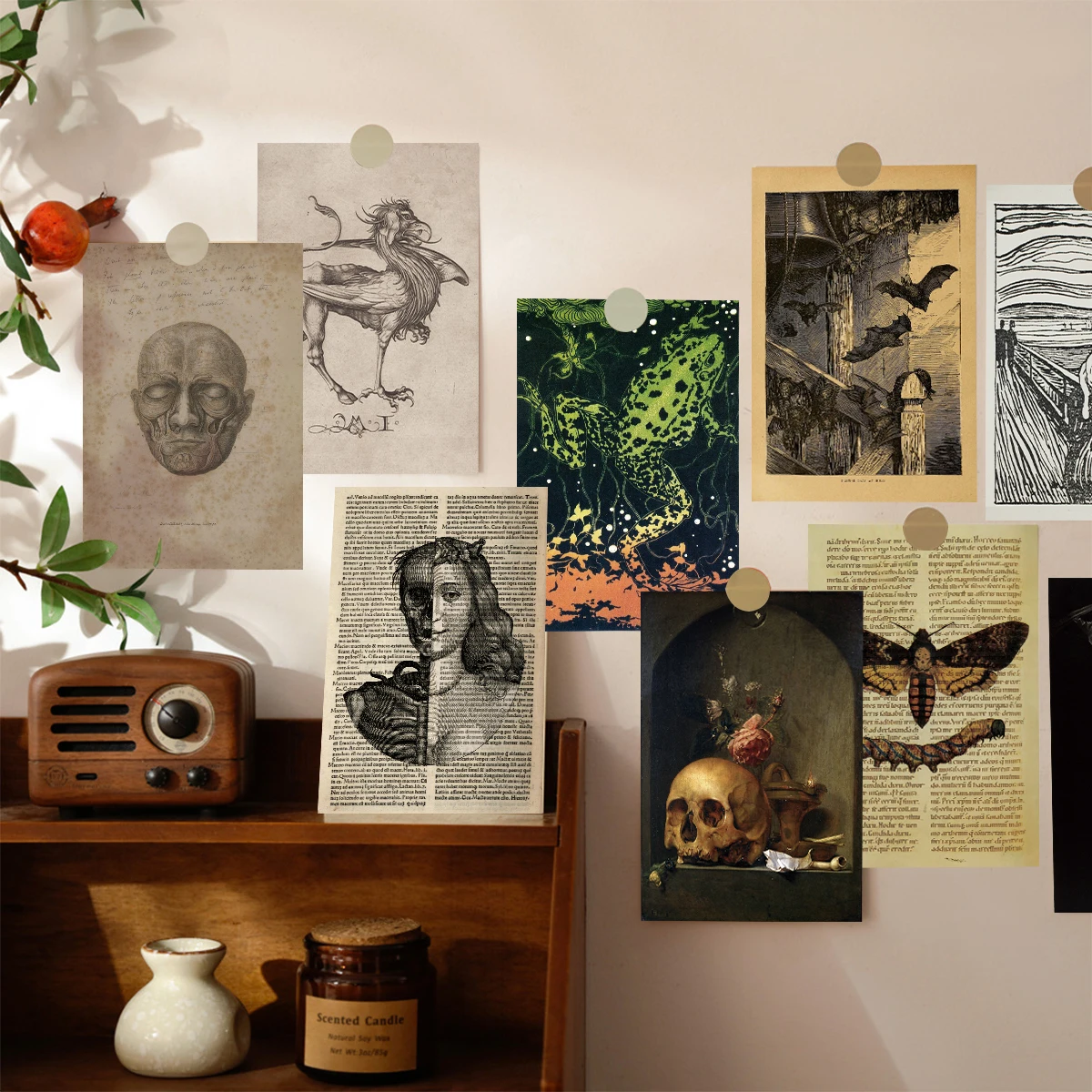50 Stück Vintage Poster Wandcollage Kit Raumdekoration Vintage Ästhetisches Fotocollage Kit Insekt Pflanze Postkarte Halloween Dekoration – Detail 6