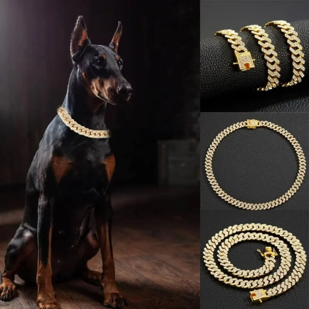 #19 Compare Dog Collars Before You Buy