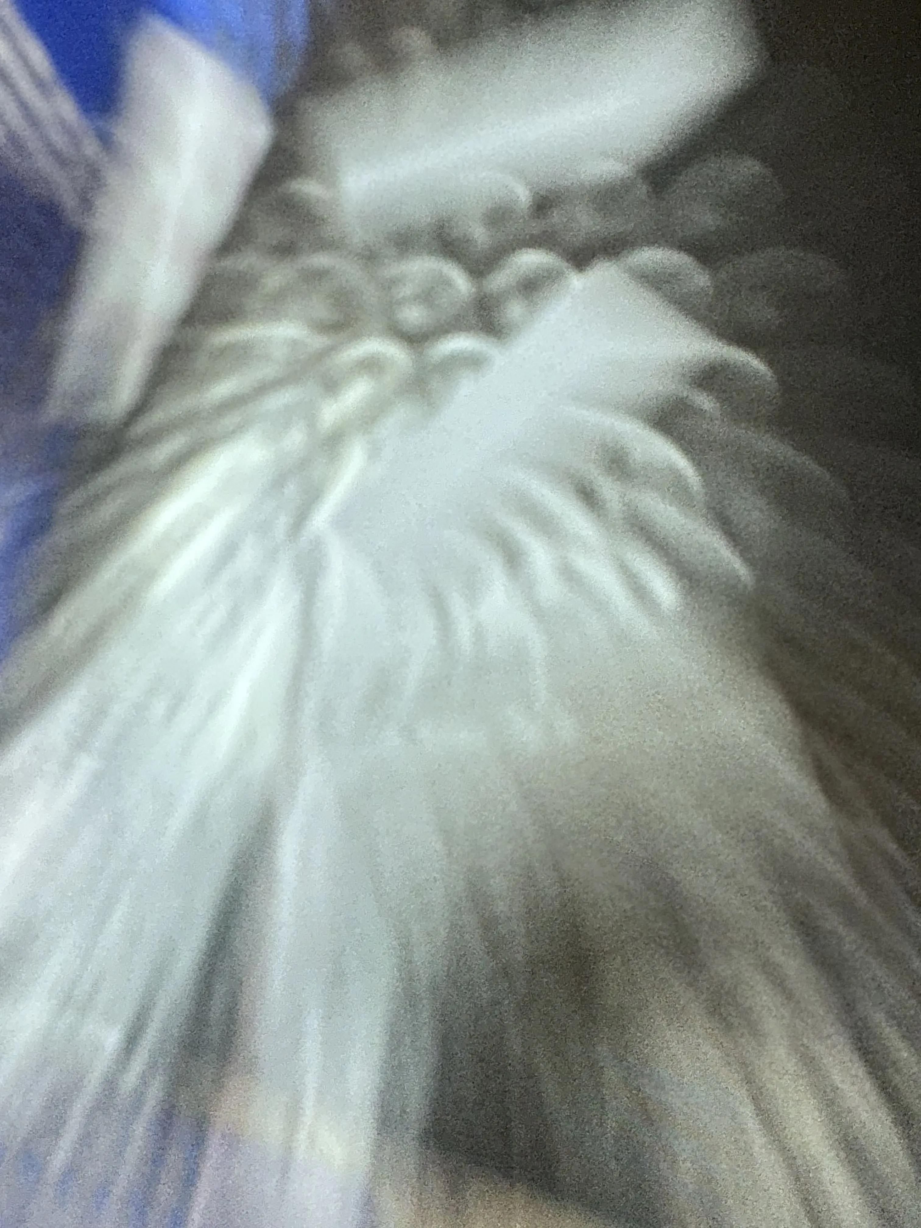 

10X JC72-00124A JC97-01486A Separation Pad for Samsung ML 1210 1220 1250 1430 4500 5000A 5100A 808 SF 530 531P 555P 5100