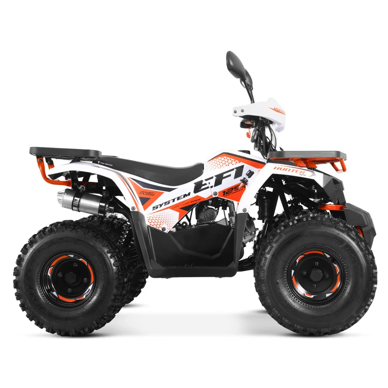 Tao Motor New EFI Electronic Fuel Injection ATV 125 Cheap Chinese Automatic with Reverse Chain Drive Farm ATV 125cc ATV