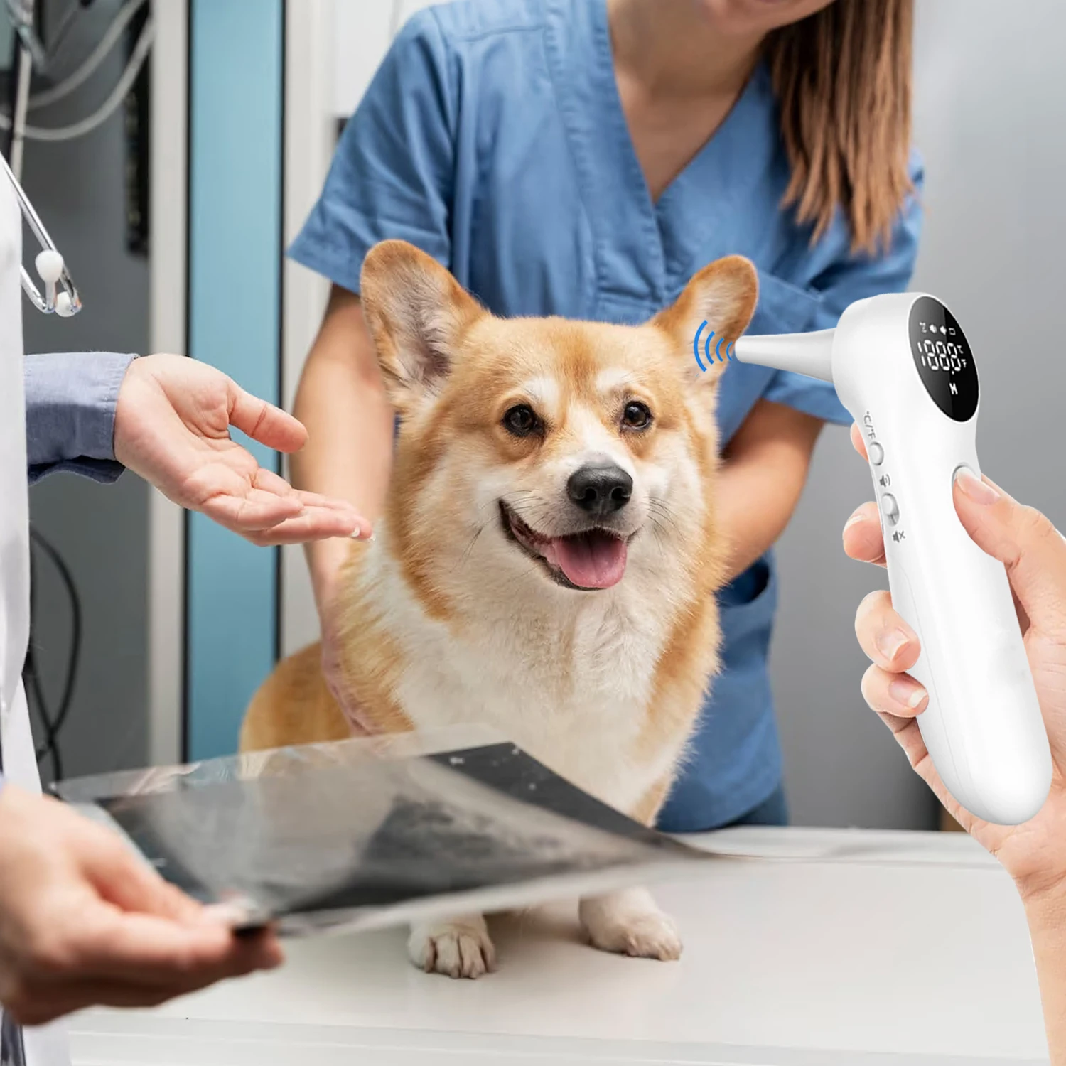 Oorthermometer Voor Honden En Vee-Omvat 20 Uitstrijkjes Voor Huisdieren, Geschikt Voor Honden, Katten