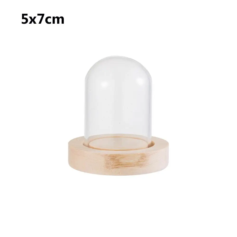 Fairy Lights Plants Terrarium Glass Vase Transparent Bottle Wooden base Flower Storage box Glass cloche Dust Cover