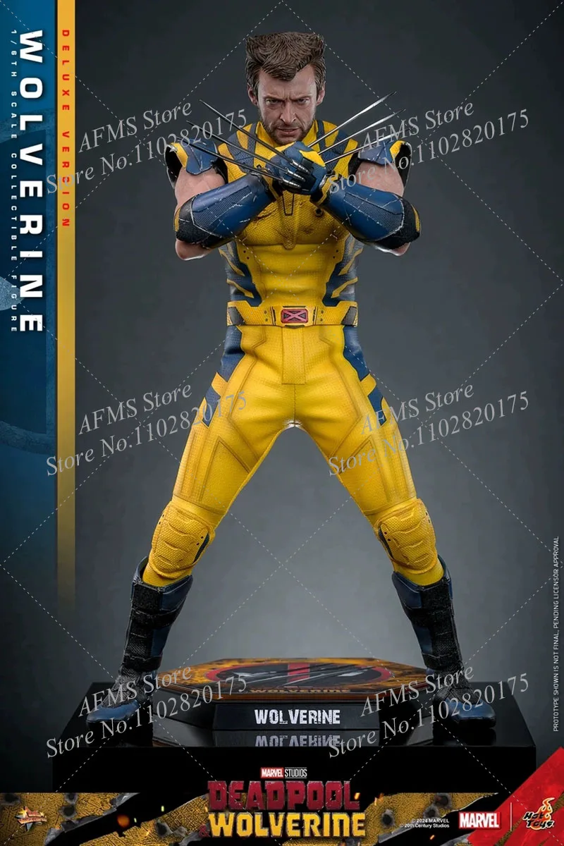 HOTTOYS HT MMS754 Figura colecionável em escala 1/6 Deadpool & Wolverine Hugh Jackman Wolverine 12 polegadas Figura de ação de soldado masculino