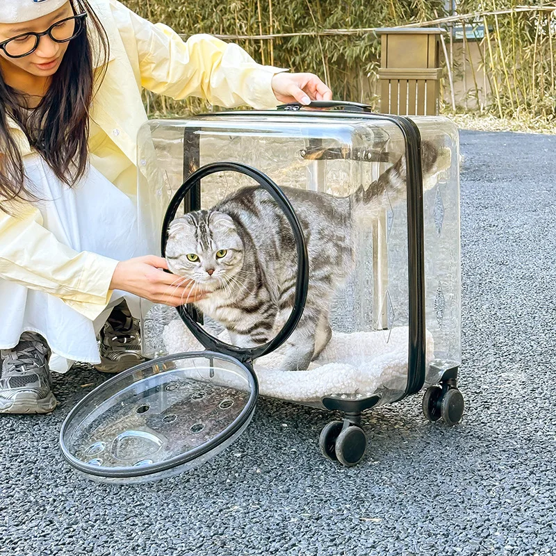 Pet Trolley Box Portable Cat Outing Bag Clear Large Capacity Space Capsule Pet Box Cat Bag