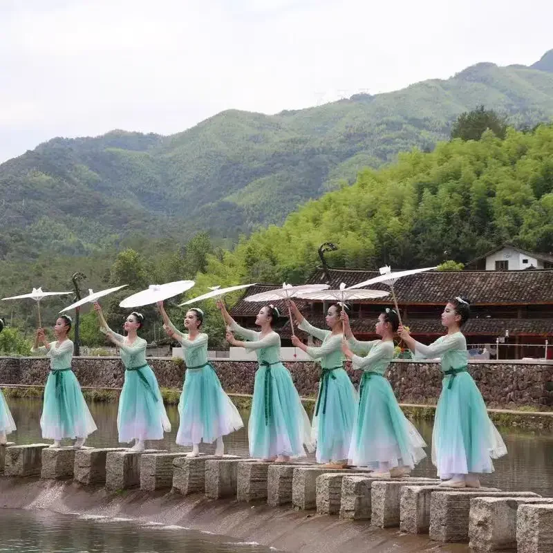 Classical dancer performance costumes women oversized practice dance clothes Chinese style folk dance dress chinese dancecostume