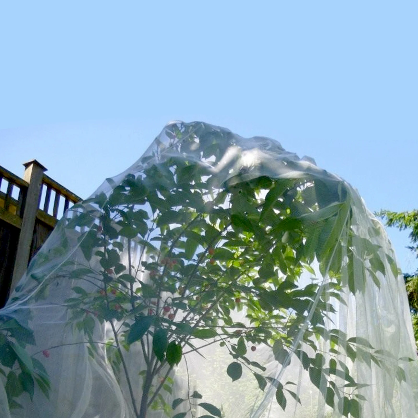 Insect Net Sturdy For Protect Plant Fruits Citrus Flower PE Material Drawstring White Insect-resistant Bags