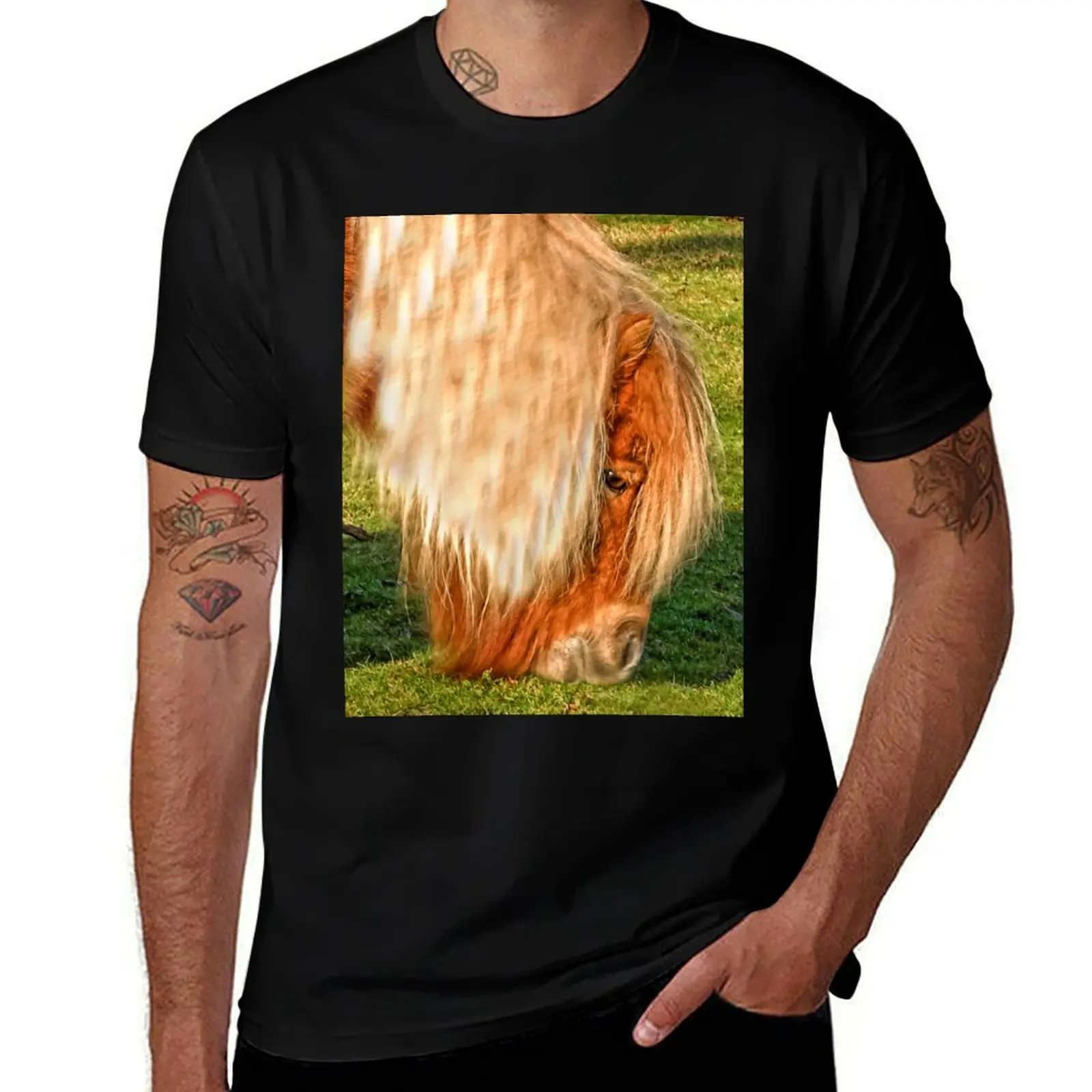 Camisas de hombre, camisetas gráficas vintage para hombre, camisetas de diseñador, camisetas Shetland, camisetas Pony t para