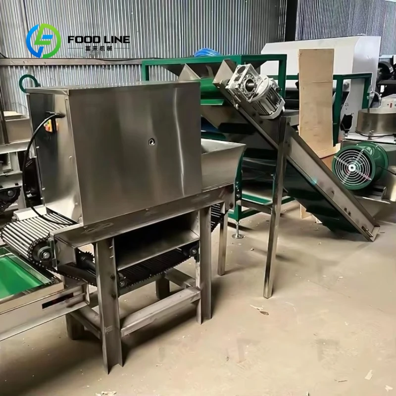 Customized Automatic High Quality Machine for Peeling Garlic/Chain Garlic Peeling Machine Garlic Peelers in Kitchens Processing