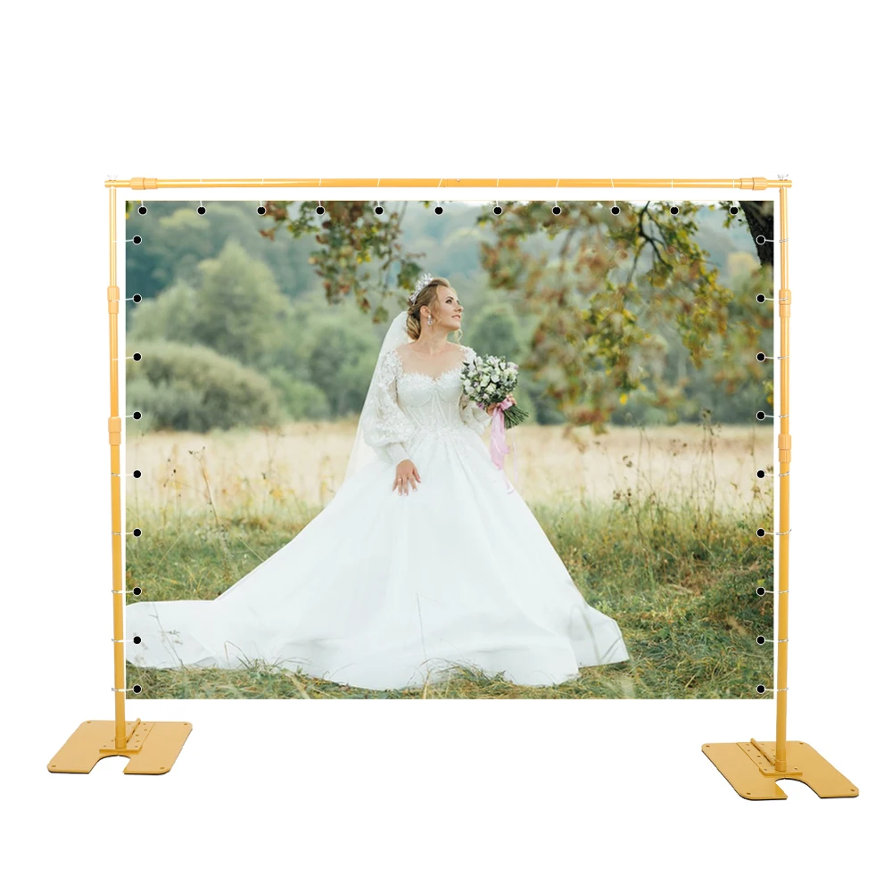 Gold Background Stand Backdrop SH 2.4X3M Heavy Duty Photo Background Support Studio Light Tripod Picture Canvas Frame System