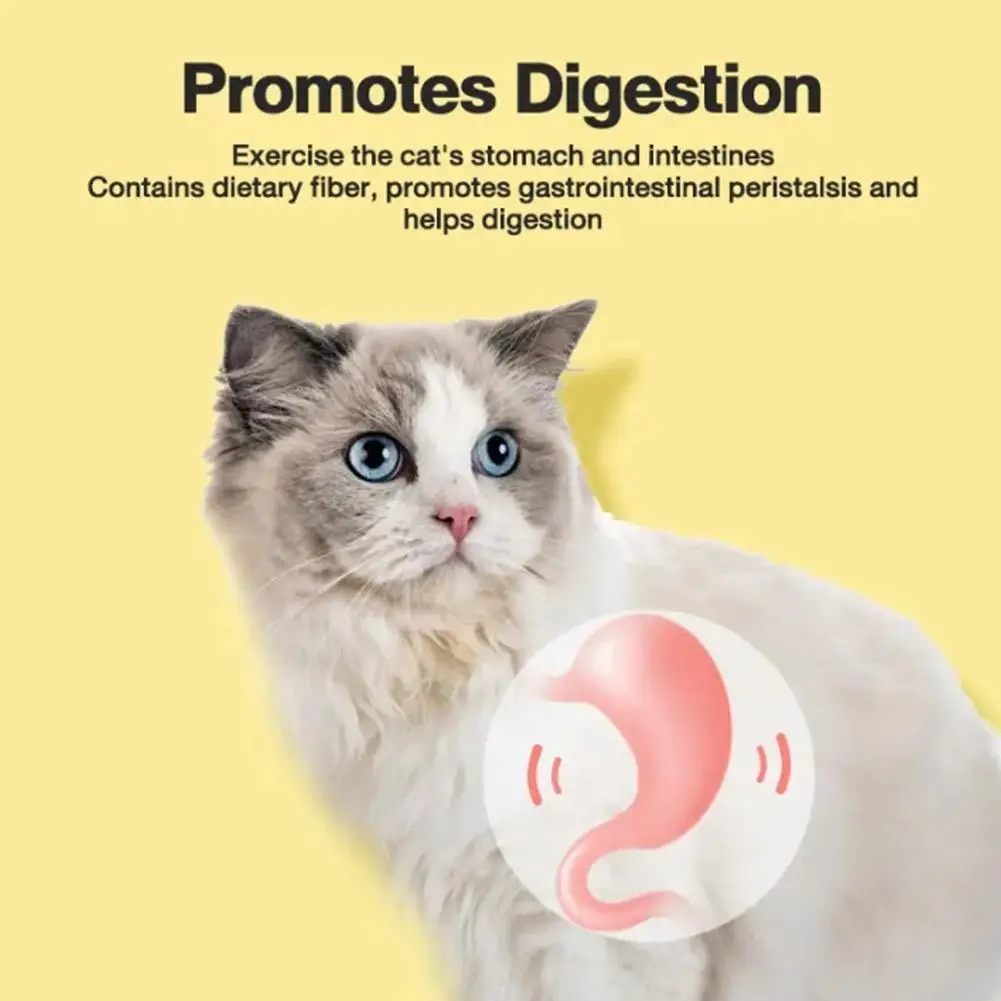 5 قطعة عصا الأسنان الطبيعية عصا للأسنان المولي مضغ الأسنان الحيوانات الأليفة العصي عصا اللعب النعناع البري الطبيعي الحيوانات الأليفة القط المولي معجون الأسنان عصا