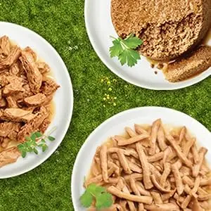 Friskies Paté, Meaty Bits and Shreds wet cat food on white plates on a green background