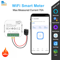 eWelink Smart WiFi Energy Meter 70A 1/Channel And 10A Smart Swtich With Clamp App Monitor Solar Export And Import Power 110/240V