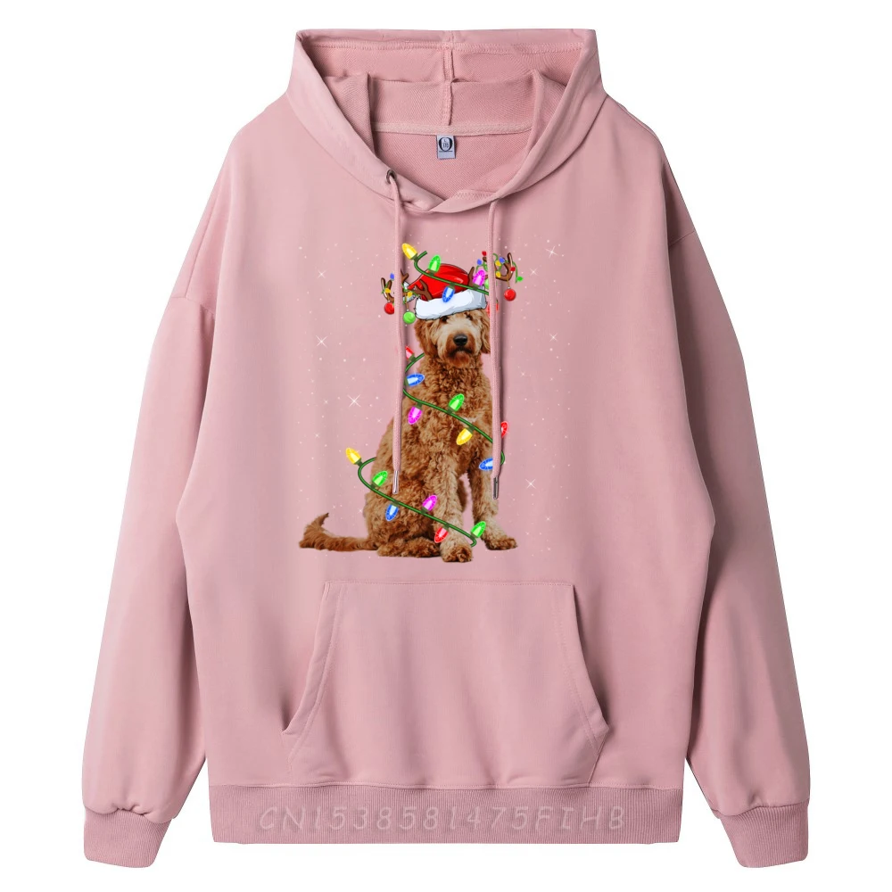 Xmas Holiday Lighting Santa Goldendoodle Dog Christmas Street Wear Hoodie Hoodie Man Cinco De Mayo