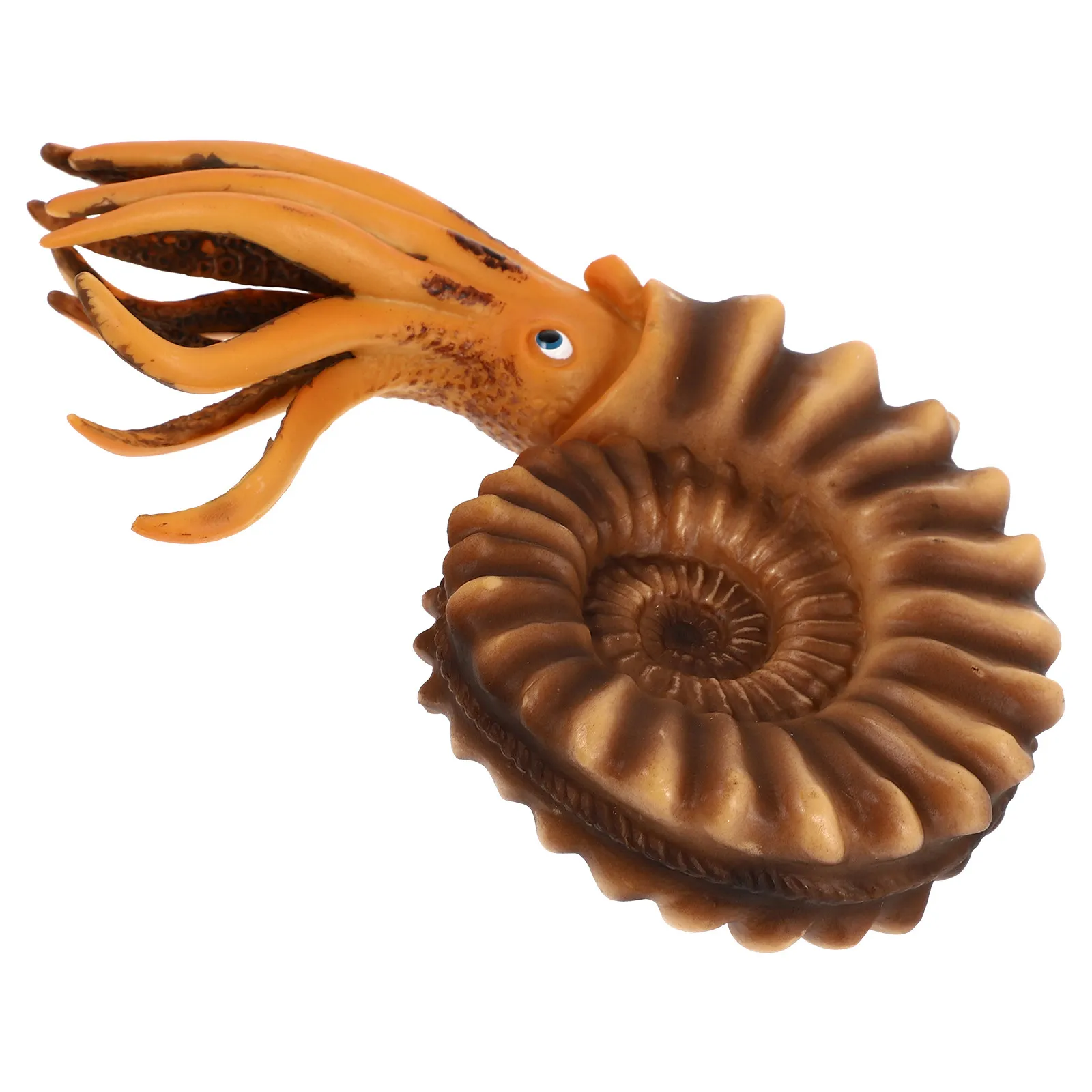 

1Pcs Vivid Sea Animal Nautilus Design Kids Educational Plaything Promotes World View Awareness Color Cognition Imagination