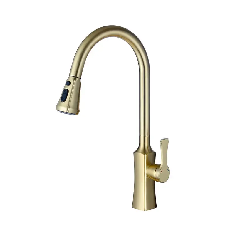 Modern Luxury Hot and Cold Brushed Gold Household Kitchen Sink Water Faucet