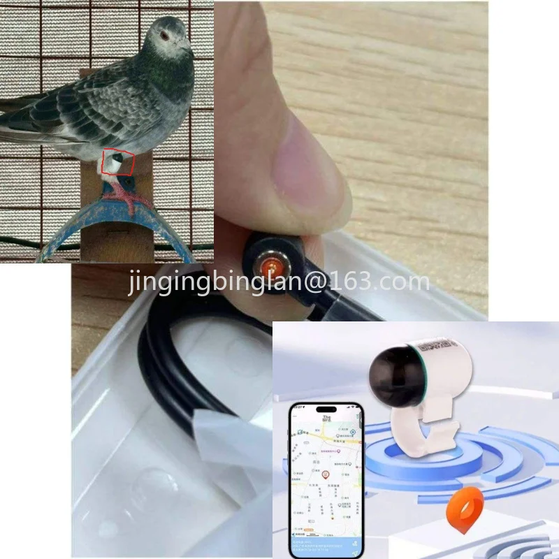 Direktverkauf ab Werk: Kunststoff-Chipringe für die Taubenrennen-Training, mit Echtzeit-Ortung, IP68 wasserdicht. – Detail 1