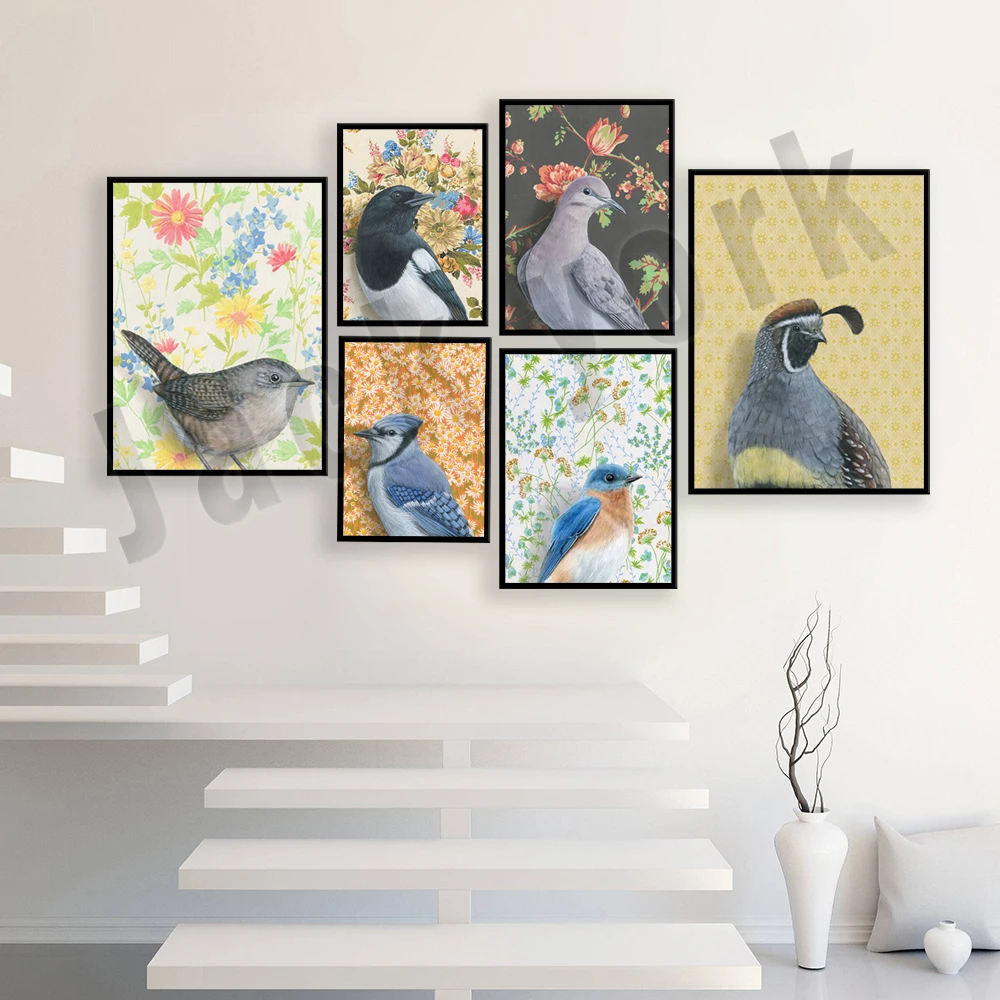 Bird drawings, baltimore oriole, cat bird, dove, blue jay, crow, mynah bird, owl, wren, hummingbird, finches nature animal poste