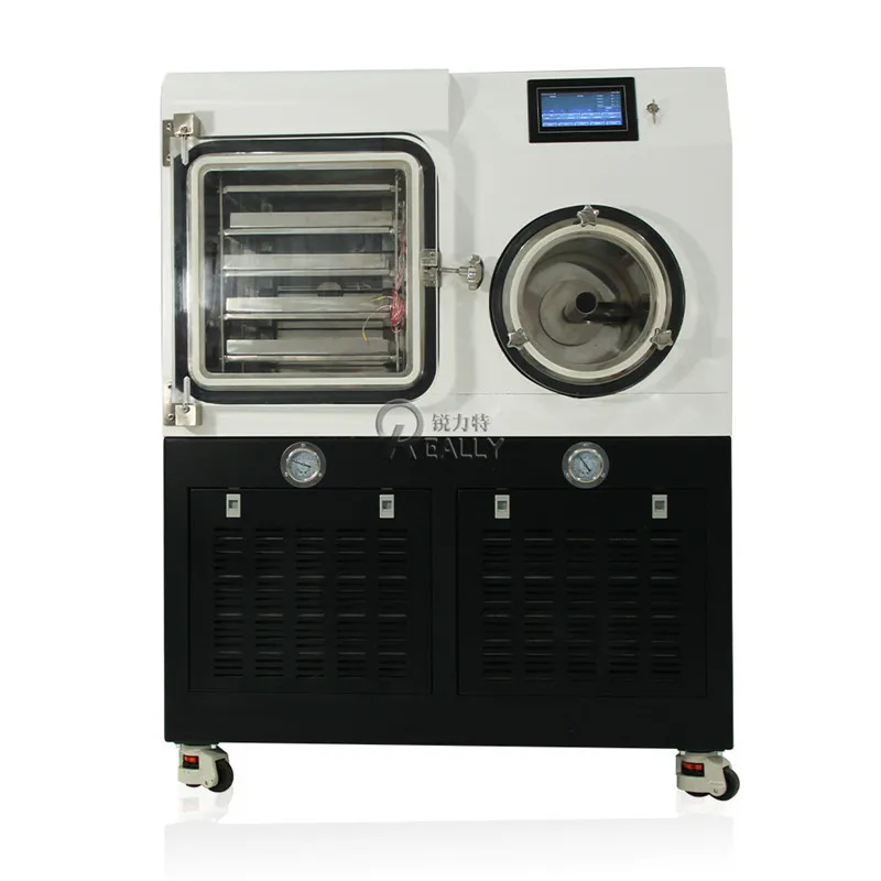 

Lab Freeze Dryer Food Vegetable Fruit Dehydrator Vaccine Lyophilizer Equipment Strawberry Freeze Drying Machine