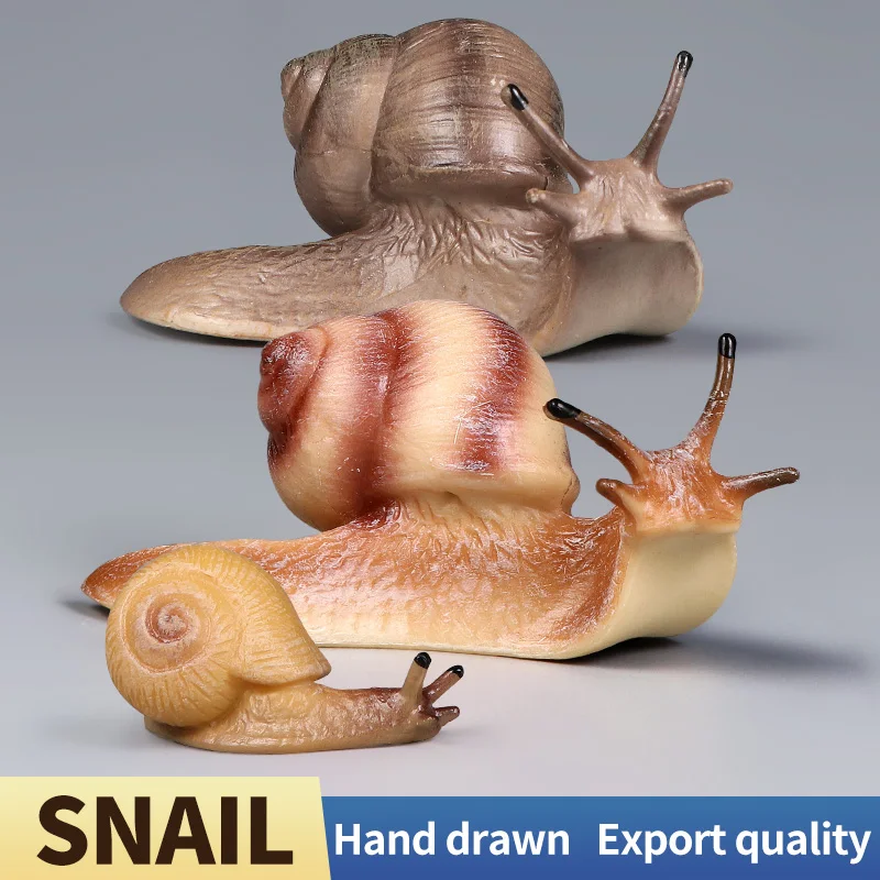 Nuevo Modelo de animales insectos, colección de figuras de acción de caracol, decoración, juguete educativo para niños