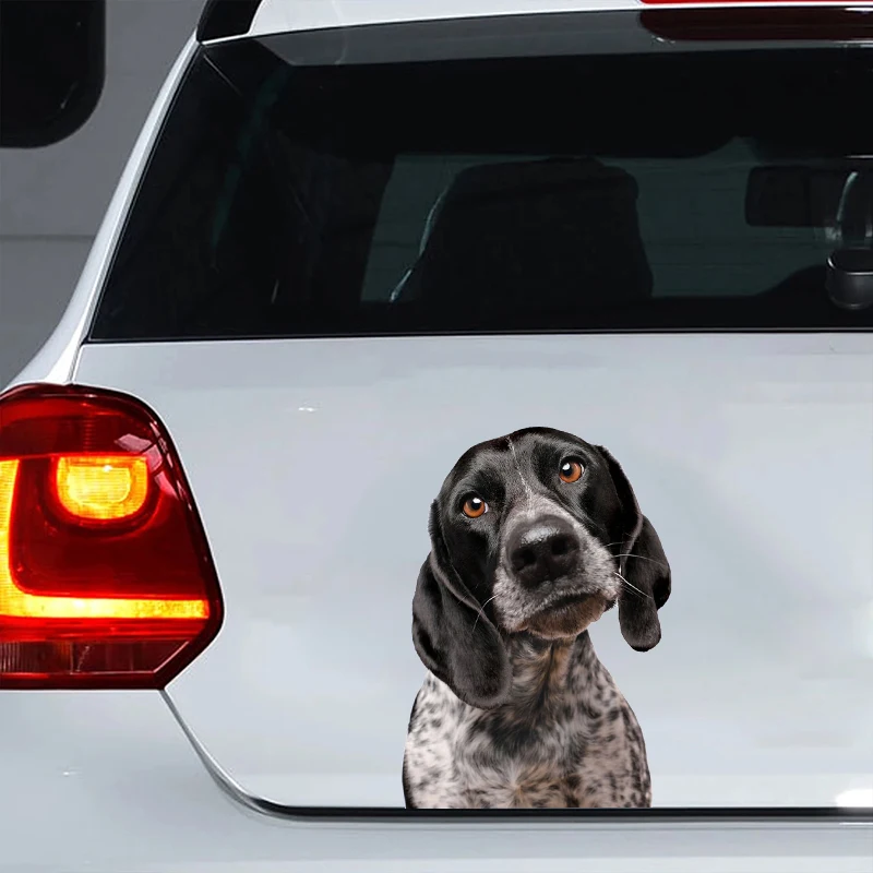 

Car Sticker Pointer Mix Dog Pet Animal Waterproof Vinyl Decal Car Accessories Decor Pegatinas Para Coche #V1390